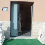 Museum *