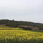 Museum 컨트리하우스