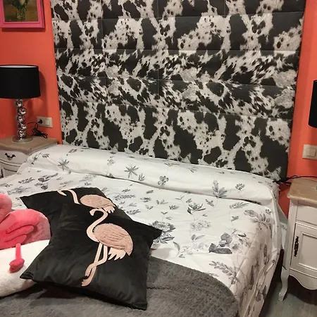 Museum * 索斯-德尔雷卡托利科