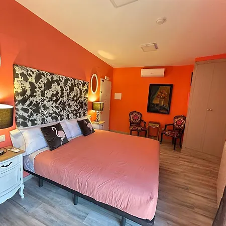 Museum 索斯-德尔雷卡托利科