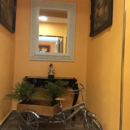 Museum Sos del Rey Católico