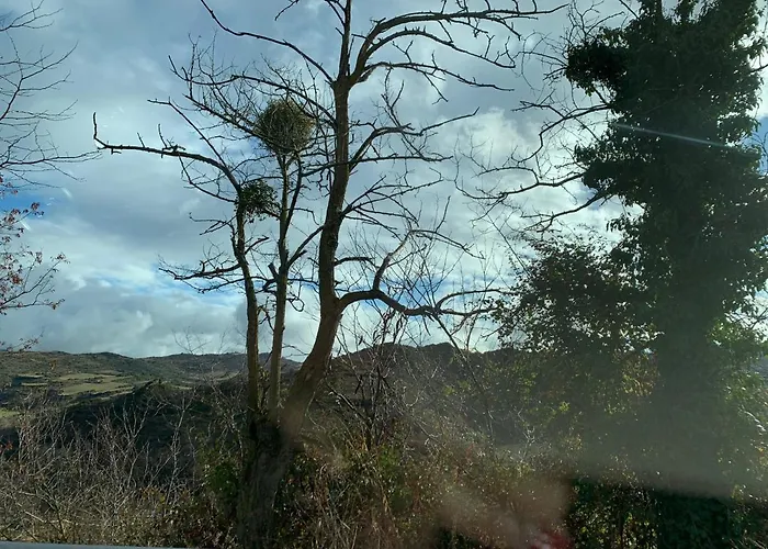 Museum Country house