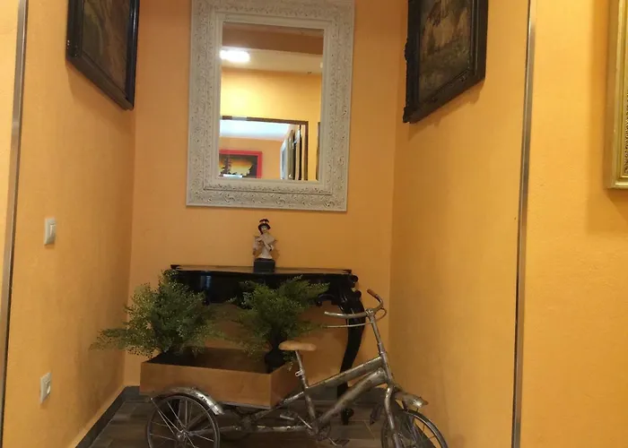 Museum Sos del Rey Católico